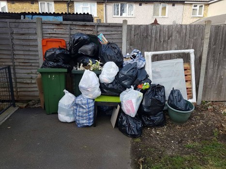 Professionals performing garden clearance in Regents Park